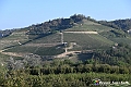 VBS_5734 - C'è un mare di velluto verde! E tu che sognavi di andare lontano... Quanta meraviglia, quì!